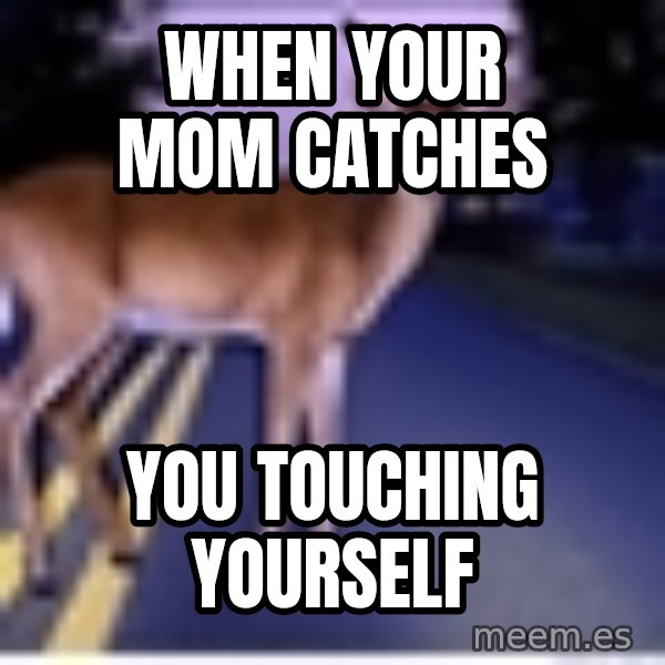 Deer In Headlights meme: When Your Mom Catches / You Touching Yourself