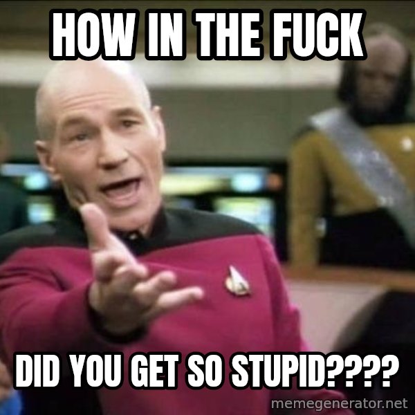 Why the fuck meme: how in the fuck / Did you get so stupid????
