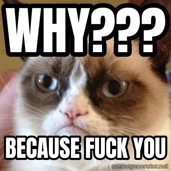 Angry Cat Meme meme: why??? / because fuck you