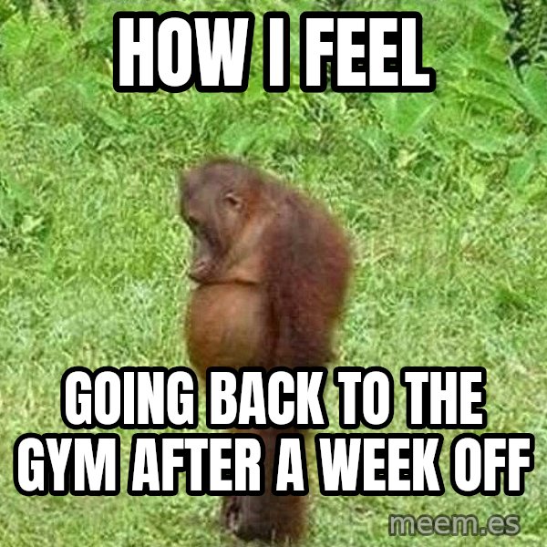 Orangutan Stan meme: How I feel / Going back to the gym after a week off