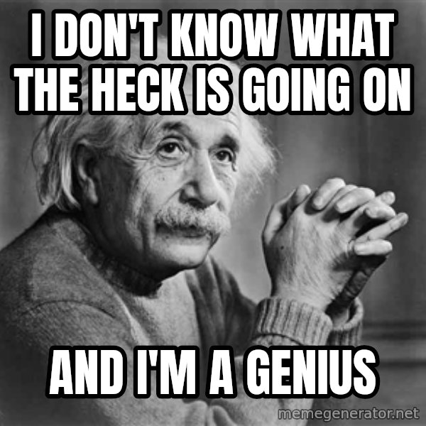 Albert Einstein meme: i don't know what the heck is going on / and i'm a genius