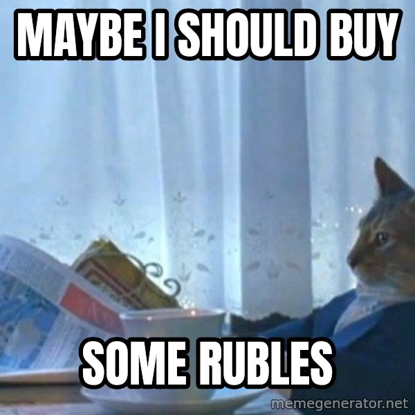 newspaper cat realization meme: Maybe I should buy / some Rubles