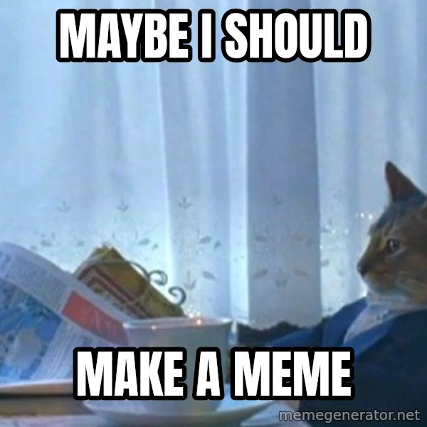 newspaper cat realization meme: maybe i should / make a meme