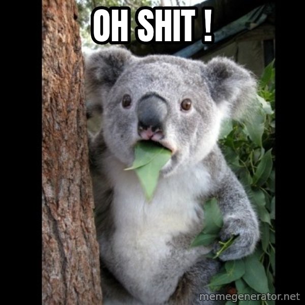 Koala can't believe it meme: Oh shit !