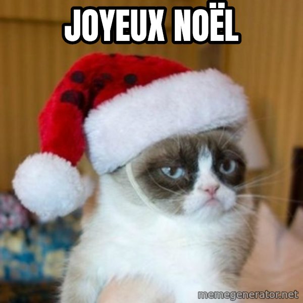 Grumpy Cat Santa Hat meme: Joyeux Noël