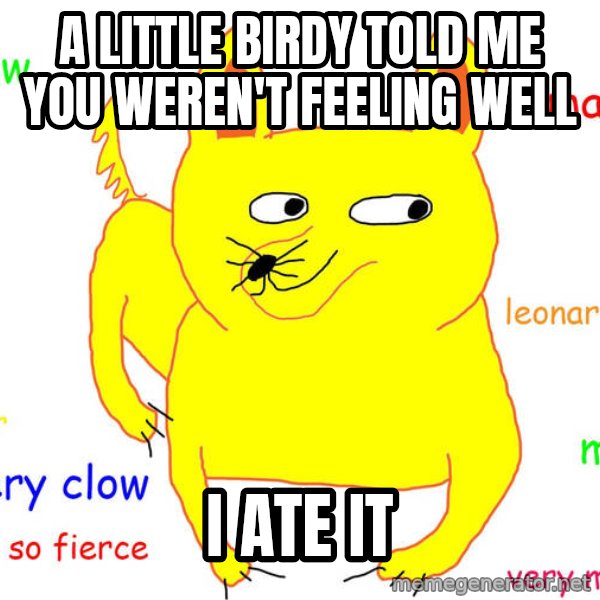 Grumpy Cat  meme: A little birdy told me you weren't feeling well / I ate it