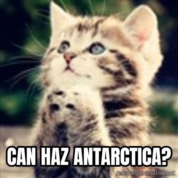 Praying Kitten meme: can haz antarctica?
