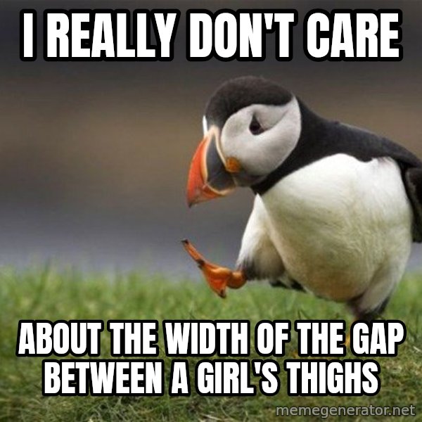 Unpopular Opinion Puffin meme: I really don't care / about the width of the gap between a girl's thighs