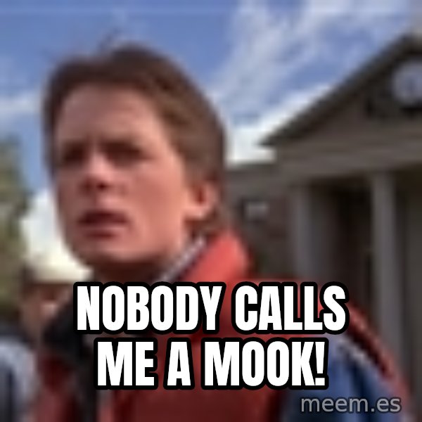 Marty Mcfly meme: Nobody calls me a mook!