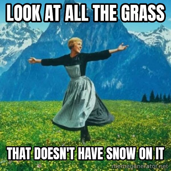 Look at All the Fucks I Give meme: Look at all the grass / That doesn't have snow on it