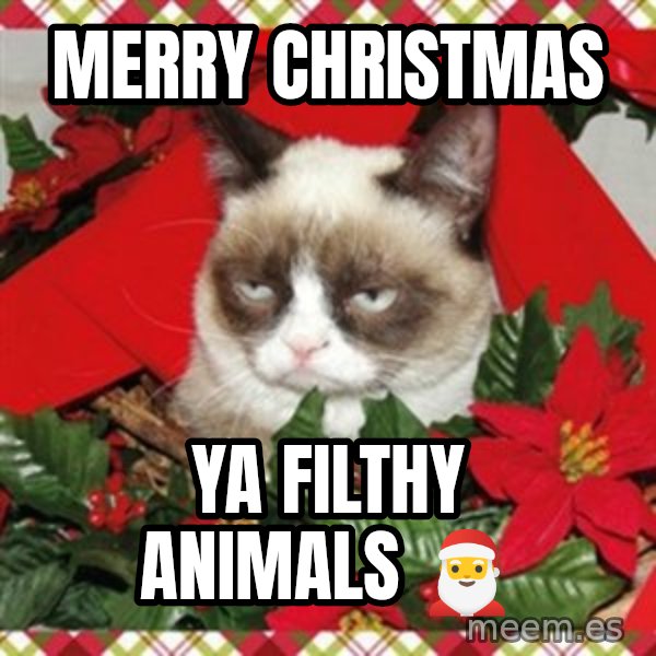 Grumpy Christmas Cat meme: Merry christmas / Ya filthy animals 🎅