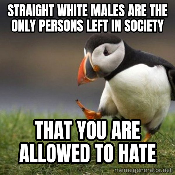 Unpopular Opinion Puffin meme: straight white males are the only persons left in society / that you are allowed to hate