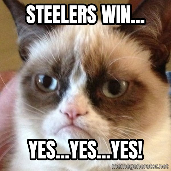 Angry Cat Meme meme: Steelers Win... / yes...Yes...Yes!