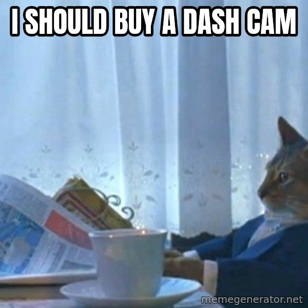 newspaper cat realization meme: I should buy a dash cam