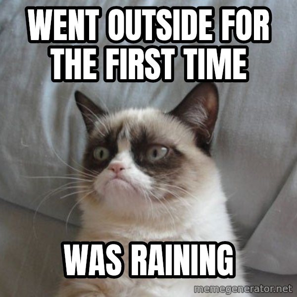 Grumpy cat good meme: Went outside for the first time / WAS RAINING