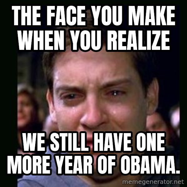 crying peter parker meme: the face you make when you realize / we still have one more year of obama.