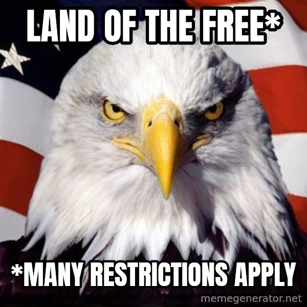 American Pride Eagle meme: Land of the Free* / *Many restrictions apply