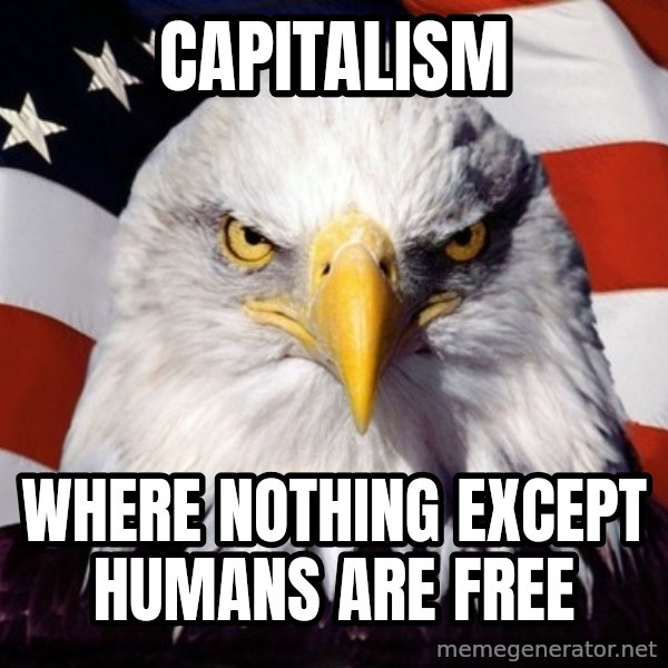 American Pride Eagle meme: Capitalism / Where nothing except humans are free