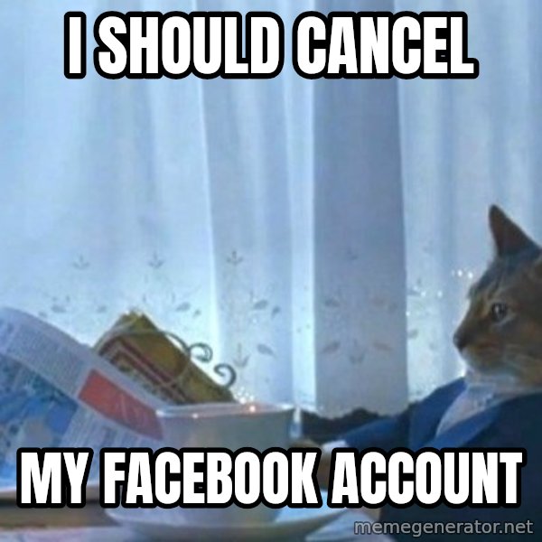 newspaper cat realization meme: I should cancel / My Facebook account