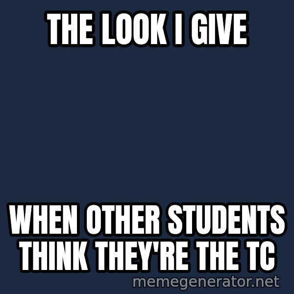 Grumpy Irish Cat meme: the look i give / when other students think they're the tc