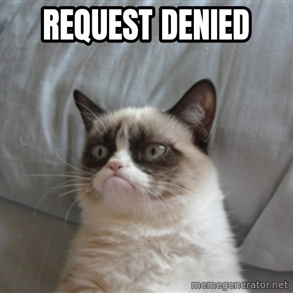 good grumpy cat 2 meme: REQUEST DENIED