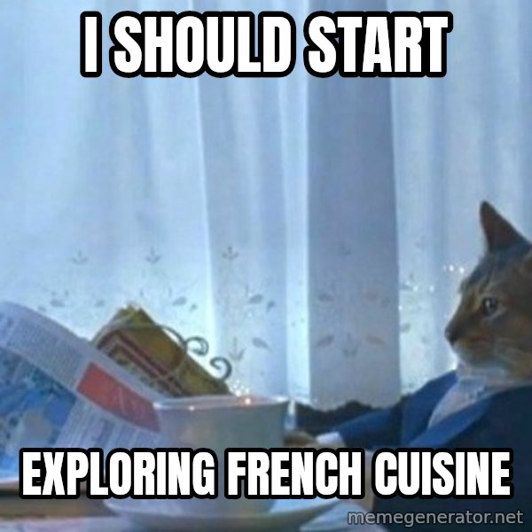 newspaper cat realization meme: I SHOULD START / EXPLORING FRENCH CUISINE