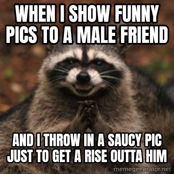 evil raccoon meme: When I show funny pics to a male friend / and I throw in a saucy pic just to get a rise outta him