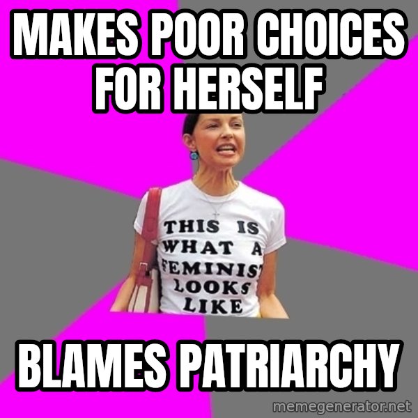 Feminist Cunt meme: makes poor choices for herself / blames patriarchy