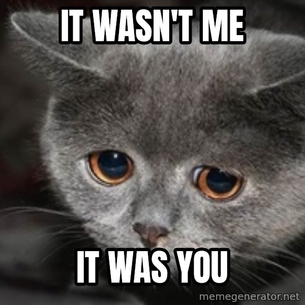 Sadcat meme: It wasn't me / It was you