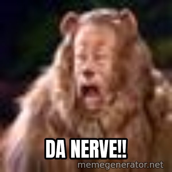 Cowardly Lion meme: Da nerve!!