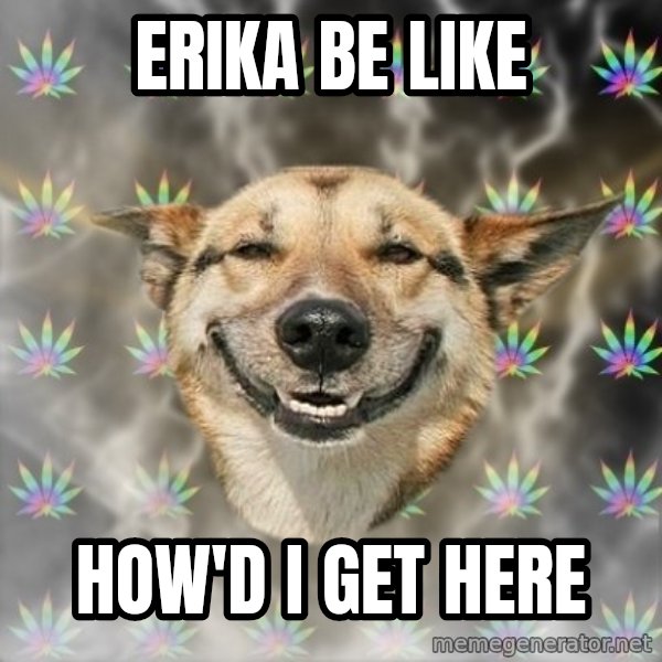 Stoner Dog meme: erika be like / how'd i get here