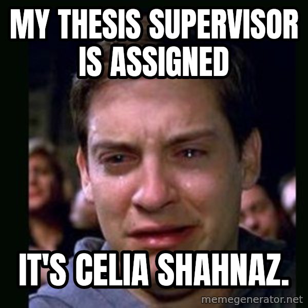 crying peter parker meme: My thesis supervisor is assigned / It's Celia Shahnaz.