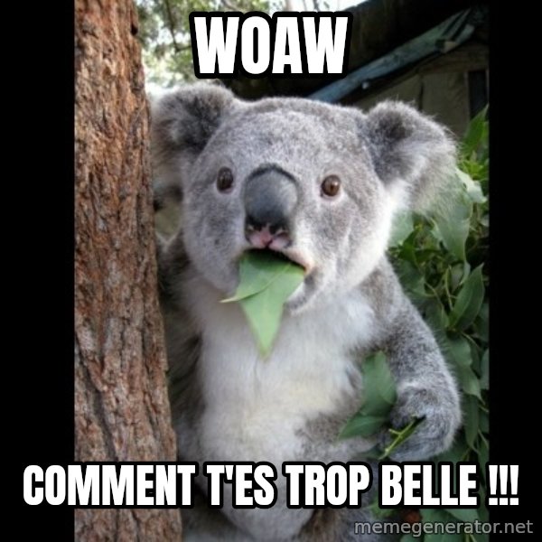 Koala can't believe it meme: Woaw / comment t'es trop belle !!!