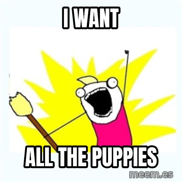 All the things meme: I want / All the puppies