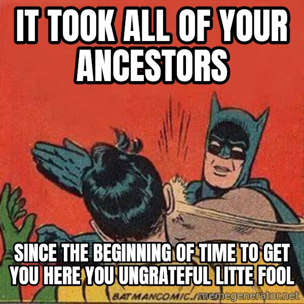 batman slap robin meme: it took all of your ancestors / since the beginning of time to get you here you ungrateful litte fool