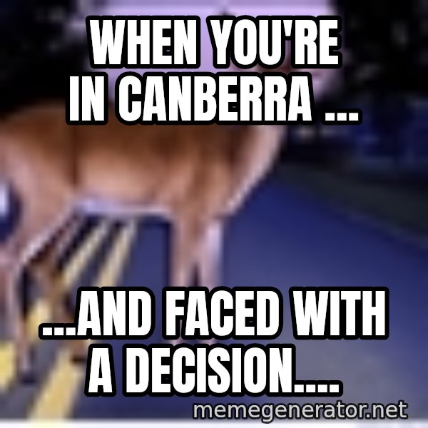 Deer In Headlights meme: When you're in Canberra ... / ...and Faced with a Decision....