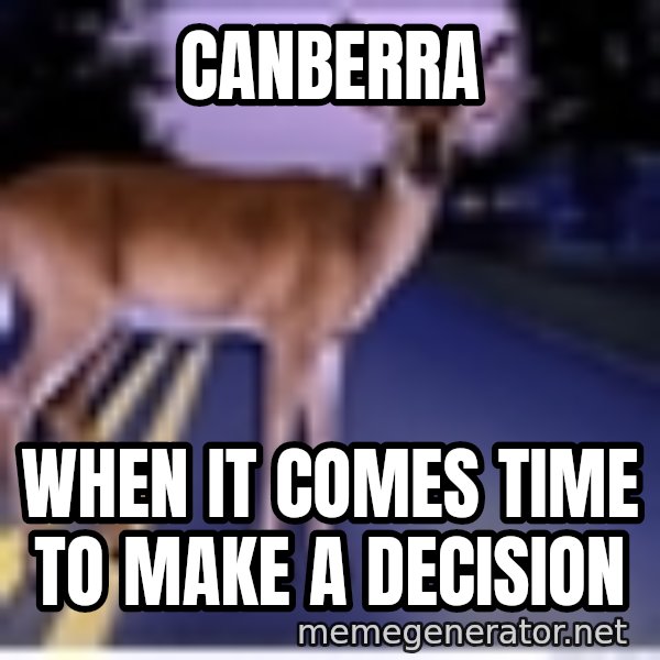 Deer In Headlights meme: Canberra / When it comes time to make a decision