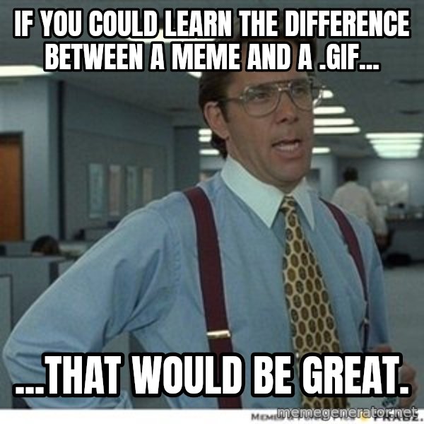 That would be great meme: If you could learn the difference between a meme and a .gif... / ...that would be great.