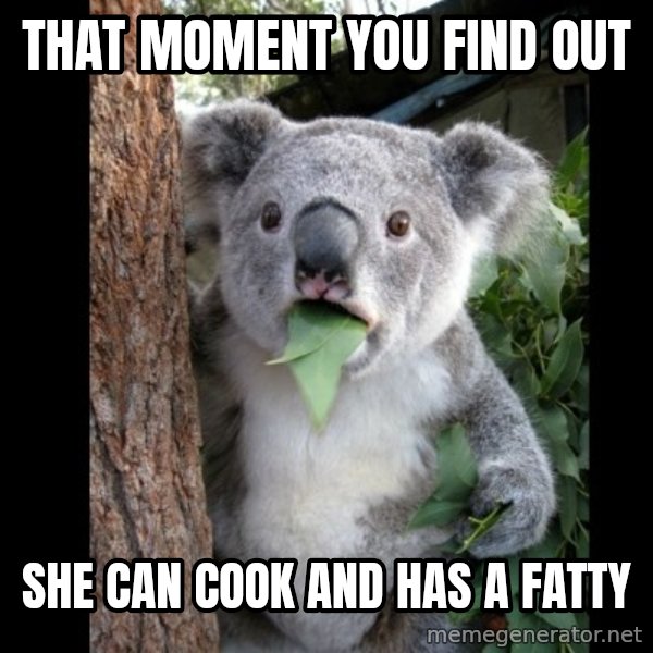 Koala can't believe it meme: That moment you find out / She can cook and has a fatty