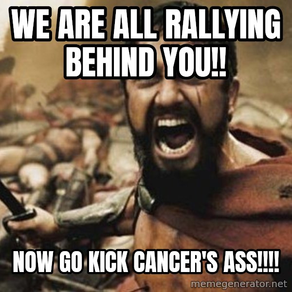 300 meme: WE ARE ALL RALLYING BEHIND YOU!! / NOW GO KICK CANCER'S ASS!!!!