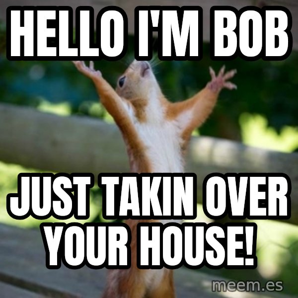 Praising Squirrel meme: Hello I'm Bob / Just takin over your house!
