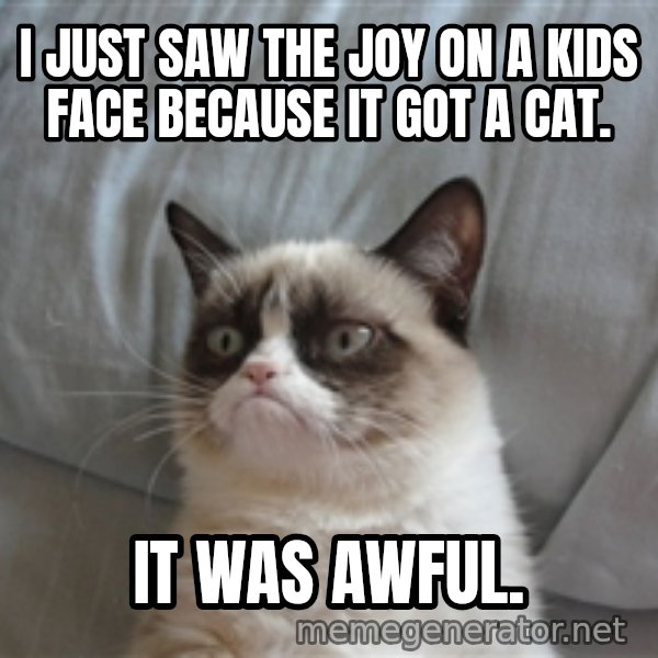 Grumpy cat 5 meme: i just saw the joy on a  kids face because it got a cat. / it was awful.
