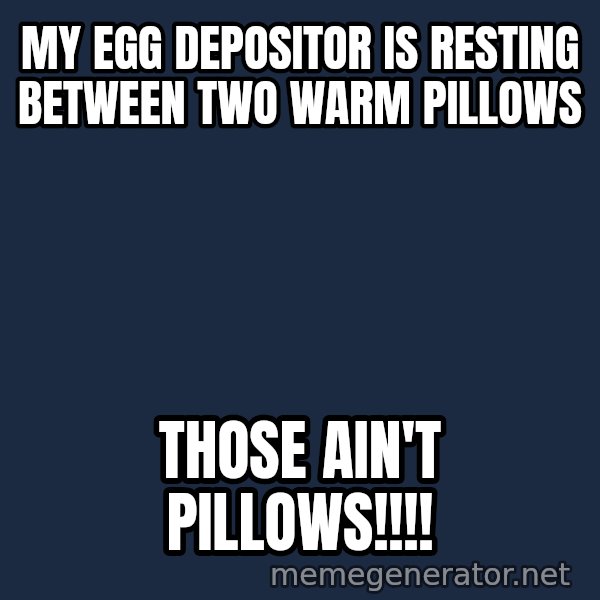 Alien Ripley meme: My egg depositor is resting between two warm pillows / those ain't pillows!!!!