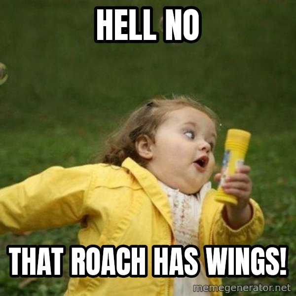 Little girl running away meme: Hell no / That roach has wings!