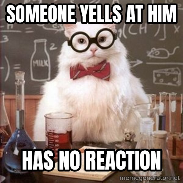 Chemistry Cat meme: SOMEONE YELLS AT HIM / HAS NO REACTION