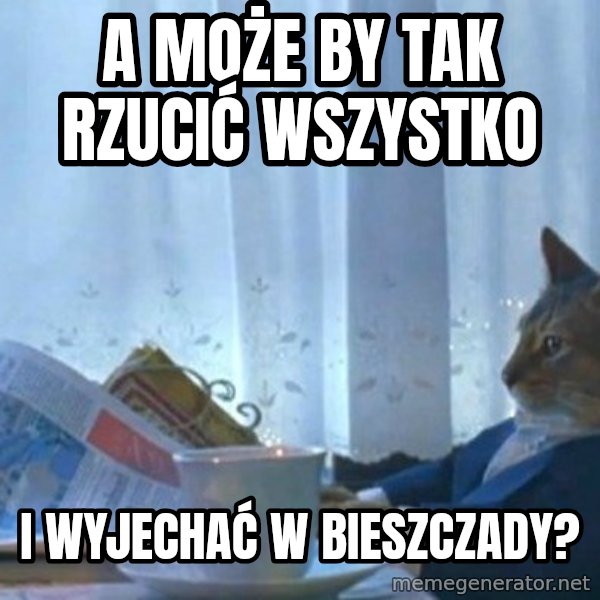 newspaper cat realization meme: A może by tak rzucić wszystko / i wyjechać w Bieszczady?