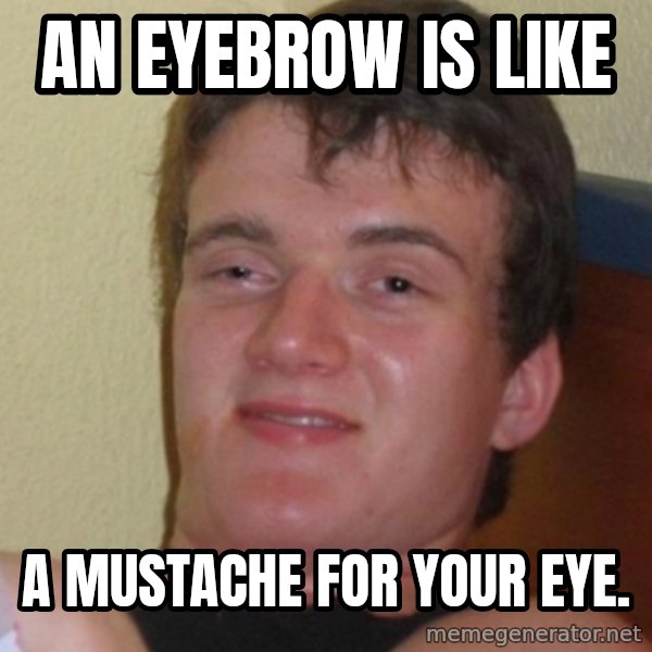 Stoner Stanley meme: an eyebrow is like / a mustache for your eye.