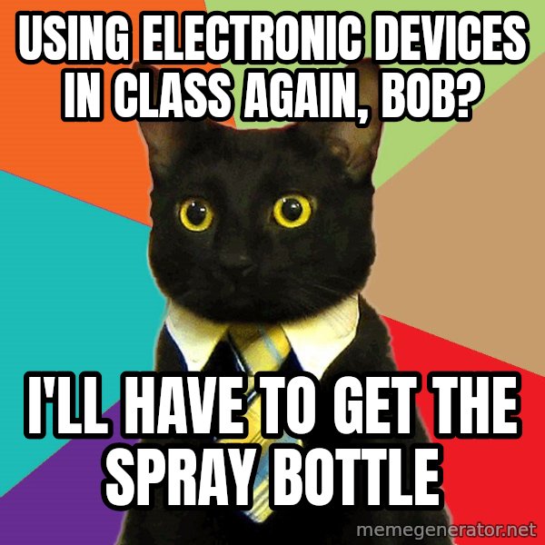 Business Cat meme: using electronic devices in class again, bob? / I'll have to get the spray bottle