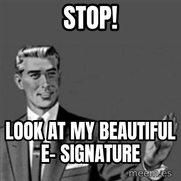 Correction Guy meme: Stop! / look at my beautiful e- signature