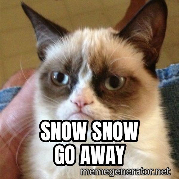 Grumpy Cat  meme: snow snow go away